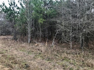 0 Highway 436 unit 2359859, Franklinton, LA 70438 - photo 7