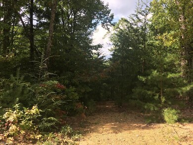 0 Pepper Bush Rd unit 919357, Purlear, NC 28665 - photo 4