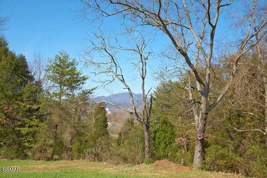 1652 Little Cabin Loop, Sevierville, TN 37862 - photo 6