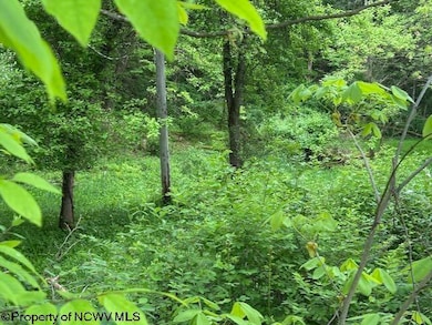 TBD Moyer Hollow Rd, Elkins, WV 26241 - photo 3