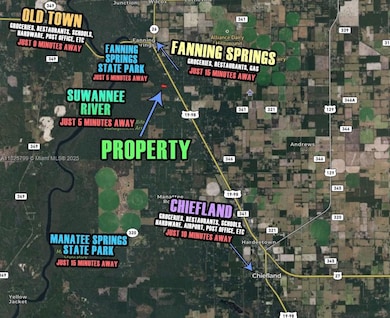 0 Old Fannin Rd, Trenton, FL 32693 - photo 2