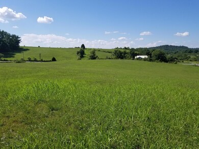 Lot 41 Tabor Rd, Greeneville, TN 37743 - photo 4