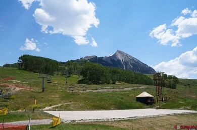 12 Snowmass Rd unit 310, Crested Butte, CO 81225 - photo 2