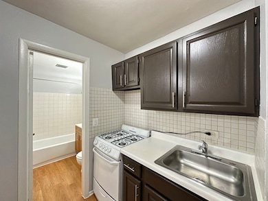 4543 N Dover St unit 2F, Chicago, IL 60640 - photo 7