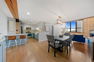 unlisted-address, Chicago, IL 60616 - photo 5