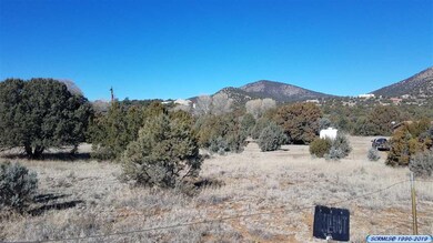 5103 Little Walnut Rd, Silver City, NM 88061 - photo 4