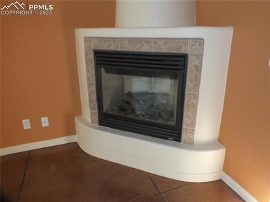 Gas Fireplace in the Living Room
