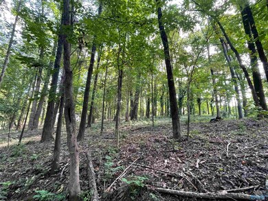 11 Camille Cir, Gadsden, AL 35901 - photo 4