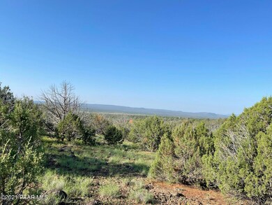 1422 N Murdo Way, Ash Fork, AZ 86320 - photo 4