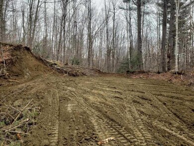 The lot has been partially cleared