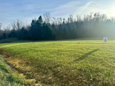 Lot 8 Hensley Rd, East Bernstadt, KY 40729 - photo 4