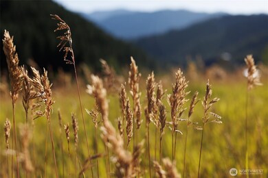 10479 Eagle Creek Rd, Leavenworth, WA 98826 - photo 4