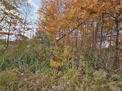 620 County Rd, Broseley, MO 63932 - photo 4