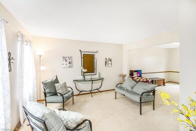 9605 Grist Mill Run, Olmsted Falls, OH 44138 - photo 3