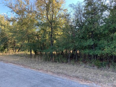 39183 Misty Ridge Dr, Whitney, TX 76692 - photo 4