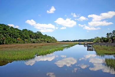 Tidal Creek Behind Your Backyard