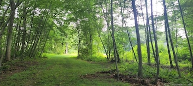 287 Boston Post Rd, Old Lyme, CT 06371 - photo 5