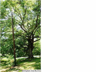 Tree on end by James Taylor Road