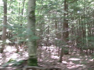 L06 County Rd, Dunbarton, NH 03046 - photo 5