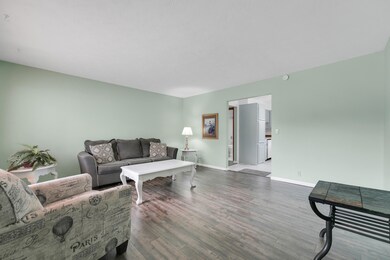 203 & 205 N New St, Nixa, MO 65714 - photo 5