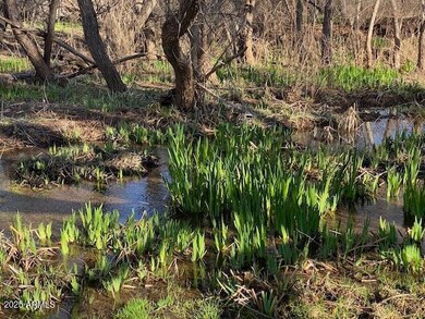 0 S Tonto Creek Dr unit 391, Payson, AZ 85541 - photo 6