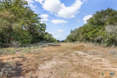 2135 Mule Creek Rd, Harwood, TX 78632 - photo 2