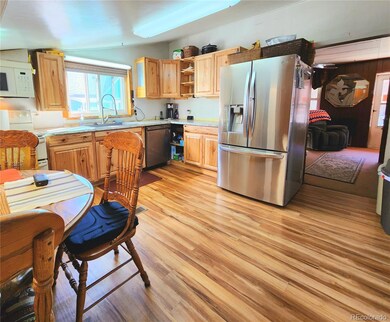 110 Miner St, Idaho Springs, CO 80452 - photo 4