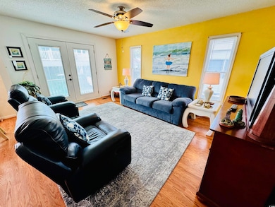 Living room featuring ceiling fan, plenty of natural light, french doors, and hardwood / wood-style floors