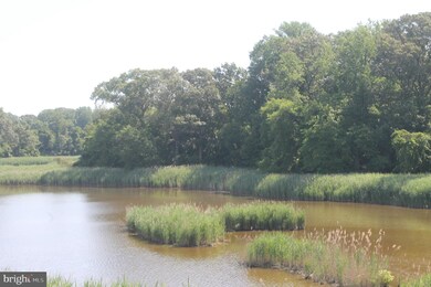 102 Watson Rd, Centreville, MD 21617 - photo 4
