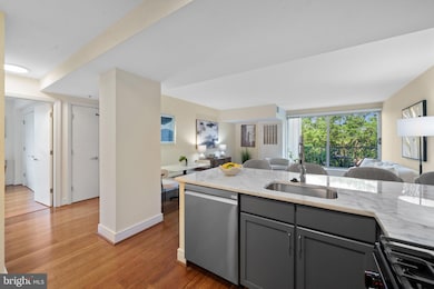 Potomac Place Tower unit S421, Washington, DC 20024 - photo 4