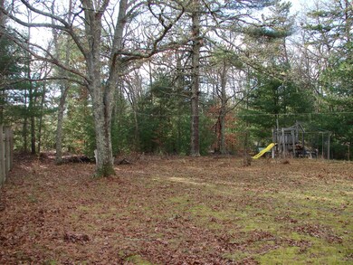 Back yard