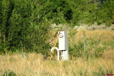 0 NW Sage Ave unit 690849, Cedaredge, CO 81413 - photo 5