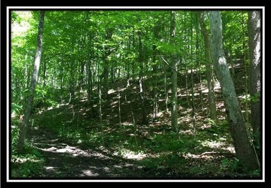 13200 Ohio 595, Logan, OH 43138 - photo 7