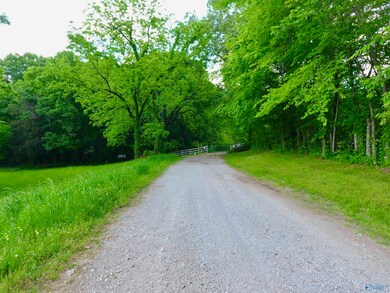 17791 Rocky Hollow Way, Elkmont, AL 35620 - photo 5