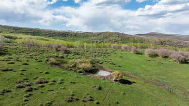 0 Tbd Divide Road 35-38, Gateway, CO 81522 - photo 5