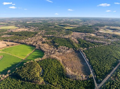 0 Thomas Rd unit 549544, Millen, GA 30442 - photo 3