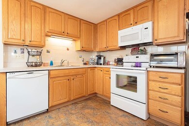 46 Trowbridge St unit 1, Belmont, MA 02478 - photo 6