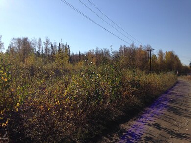 2207 S Ronnie Ct, Big Lake, AK 99654 - photo 3