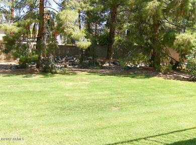 HUGE Grassy Back Yard