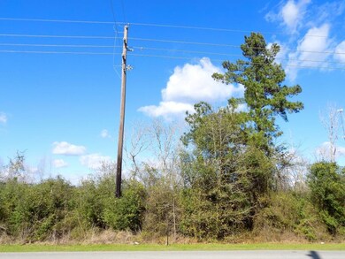 33100 Old Hempstead, Magnolia, TX 77355 - photo 4