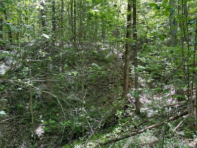 0 Ridge Rd, Hayfield Township, PA 16335 - photo 7