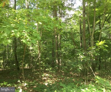 0 Oak Hill Rd unit WVMO2004260, Berkeley Springs, WV 25411 - photo 6