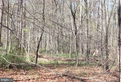 0 Fairlee Rd, Chestertown, MD 21620 - photo 4