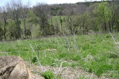 426 Central Pike, Harrodsburg, KY 40330 - photo 3