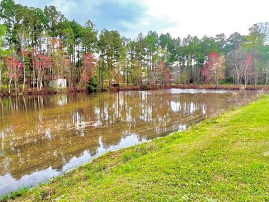 Pond 
