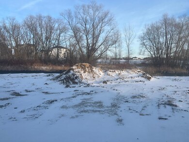 Beautiful private trees and wetland views from the backyard of this future home!
