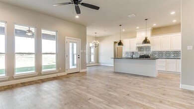 220 Zebrastone Way, Poolville, TX 76487 - photo 4