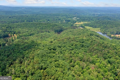 0 Meadowlands Dr unit 10535692, Talking Rock, GA 30175 - photo 5