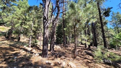 1675 Centurion Cir, Duck Creek Village, UT 84762 - photo 2