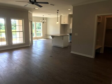 Kitchen & Living area